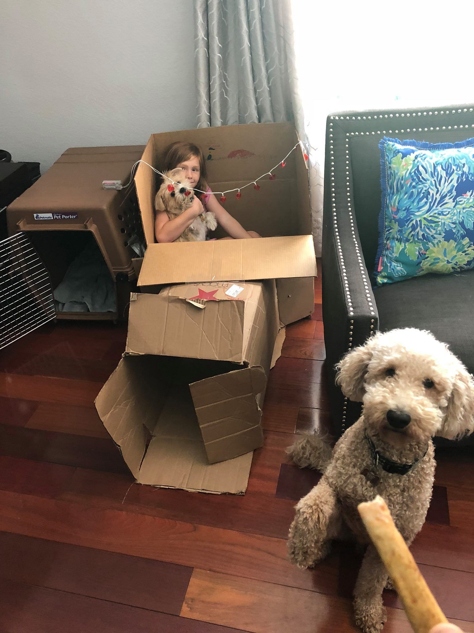 Little Girl With Dogs — Delray Beach, FL — Roehm Air Conditioning