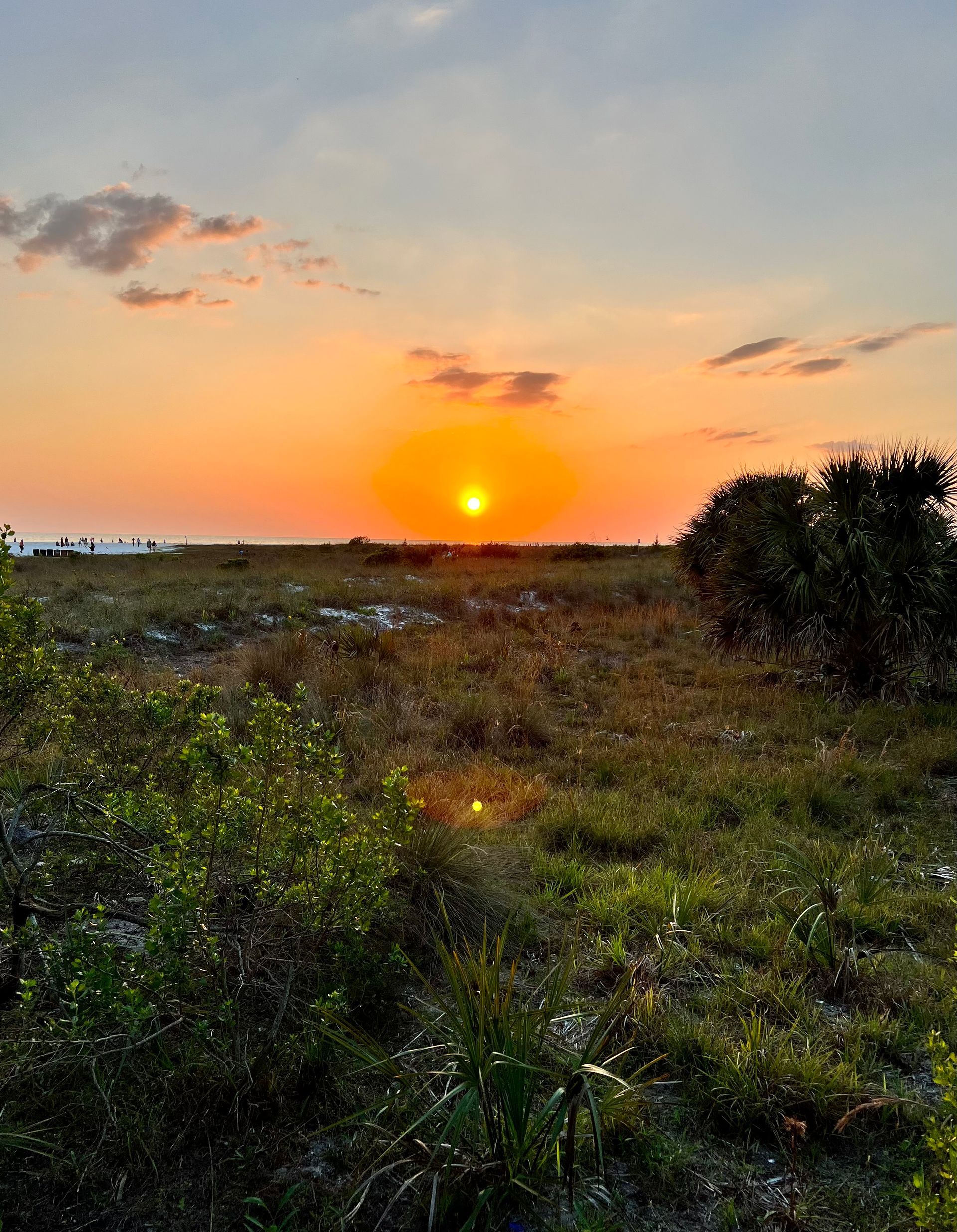 golden sunset over beach with lots of tropical greenery
