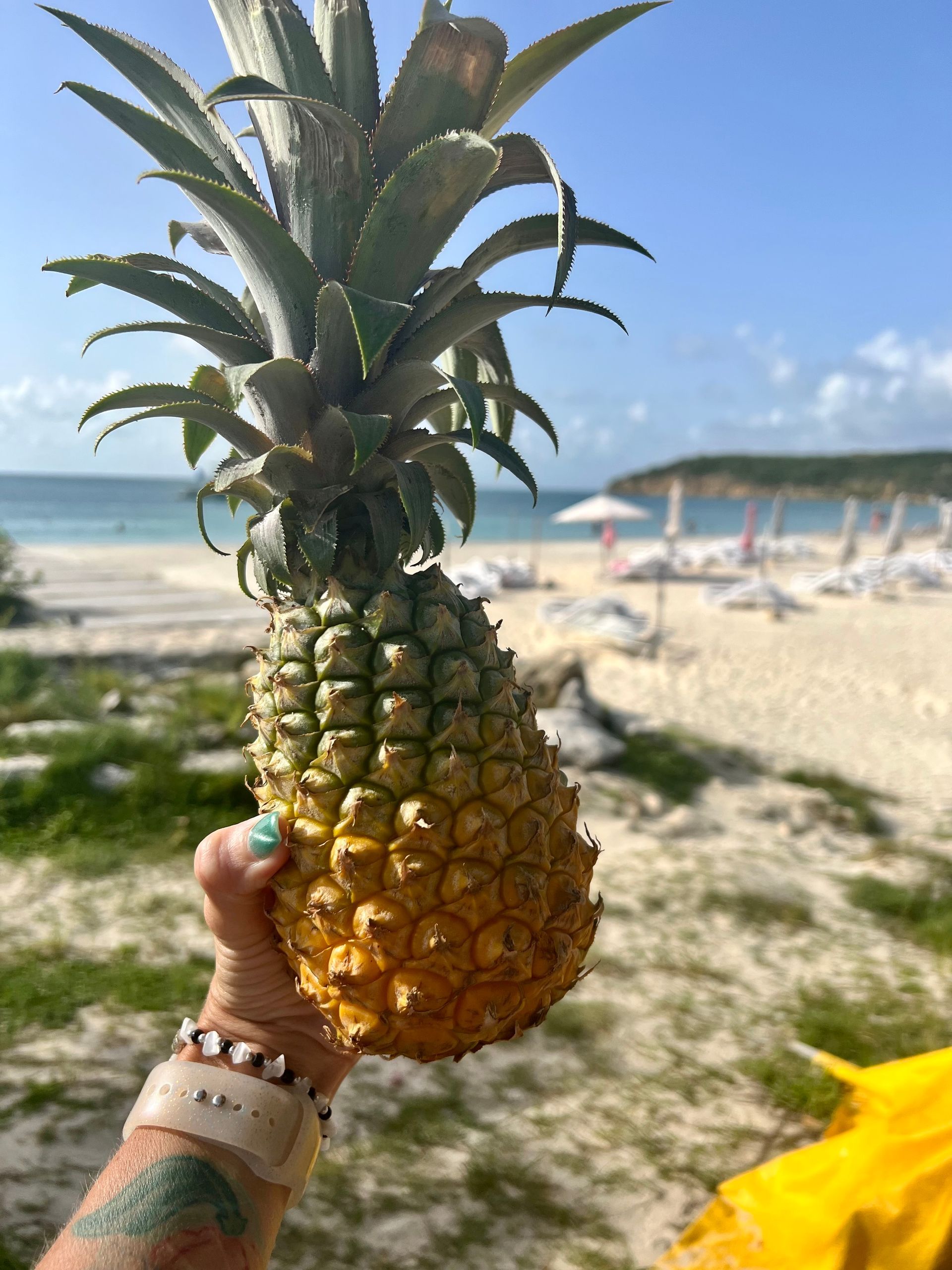 Hand holding a ripe pineapple on a beach with blue sky and white sand.