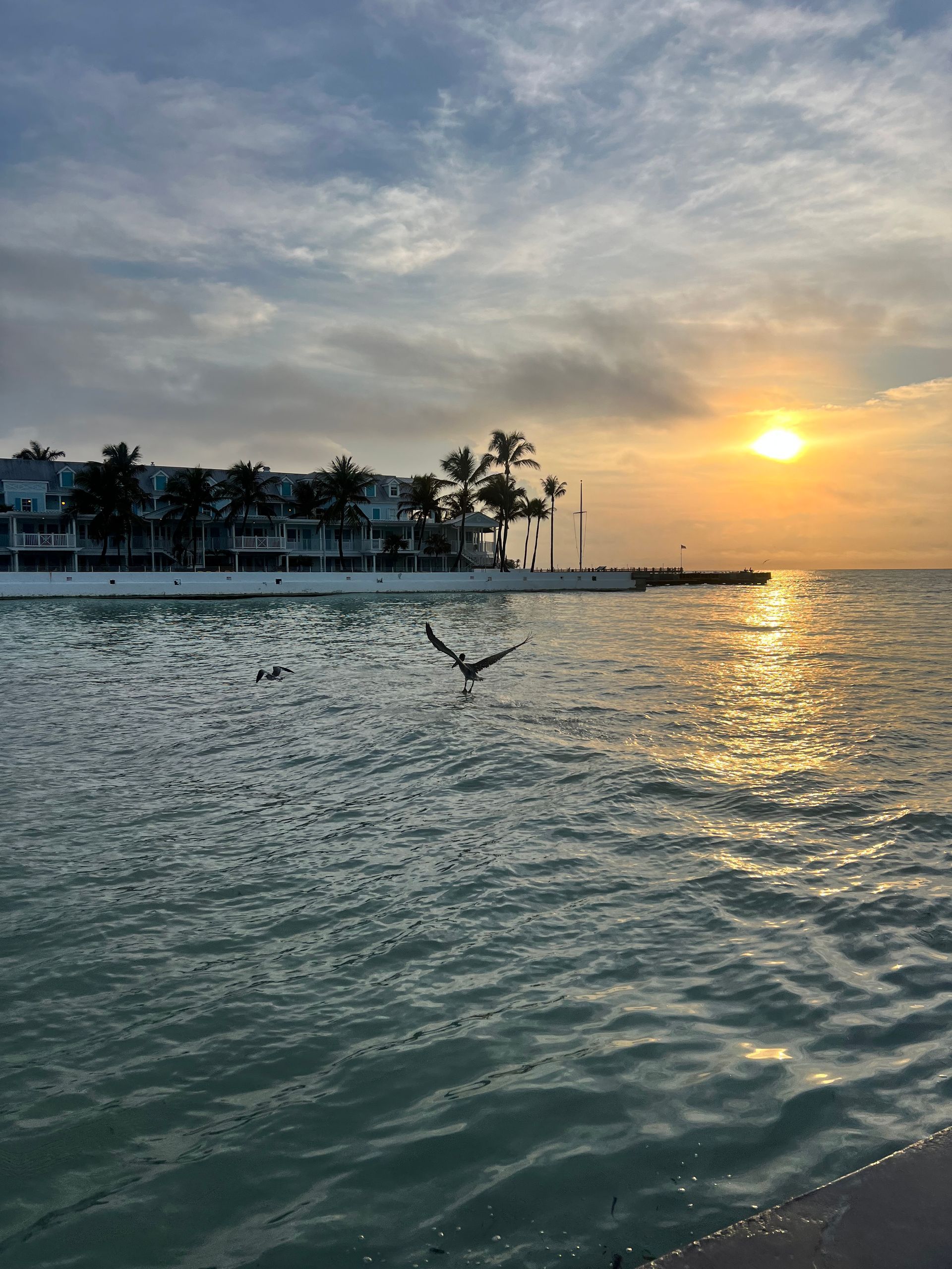 Ocean sunrise with a bird in flight near a white building.