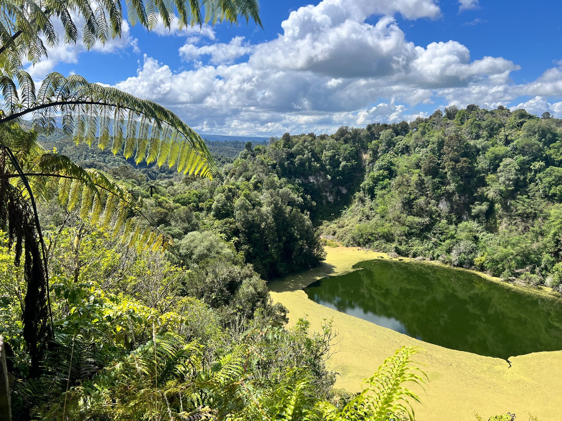 Overlooking a lush green volcanic hot spring lake surrounded by dense forest under a cloudy blue sky.