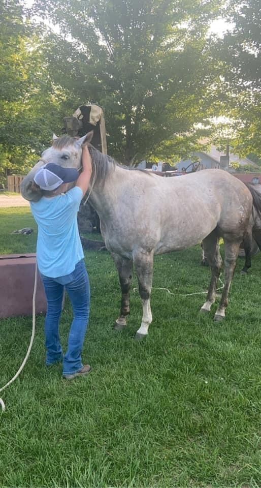 A person is standing next to a horse in a field.