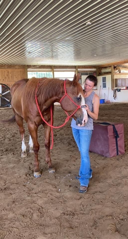 A woman is petting a brown horse in a barn.
