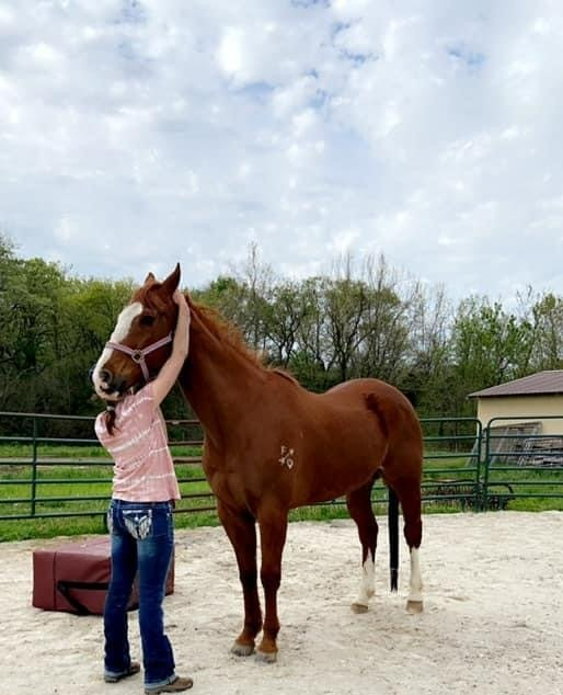 A woman is petting a brown horse in a dirt field.