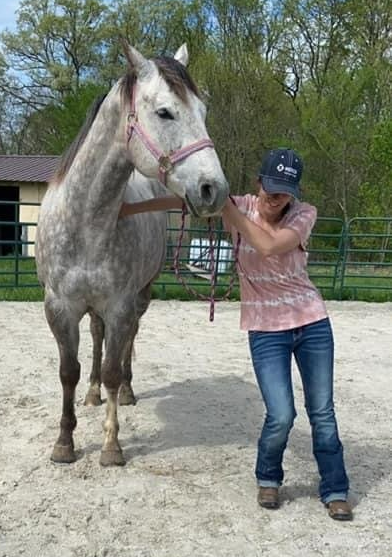 A woman standing next to a large white horse