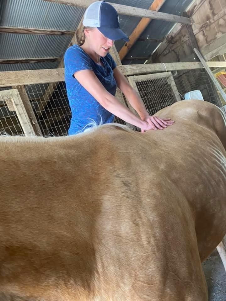 A woman is giving a horse a massage in a barn.