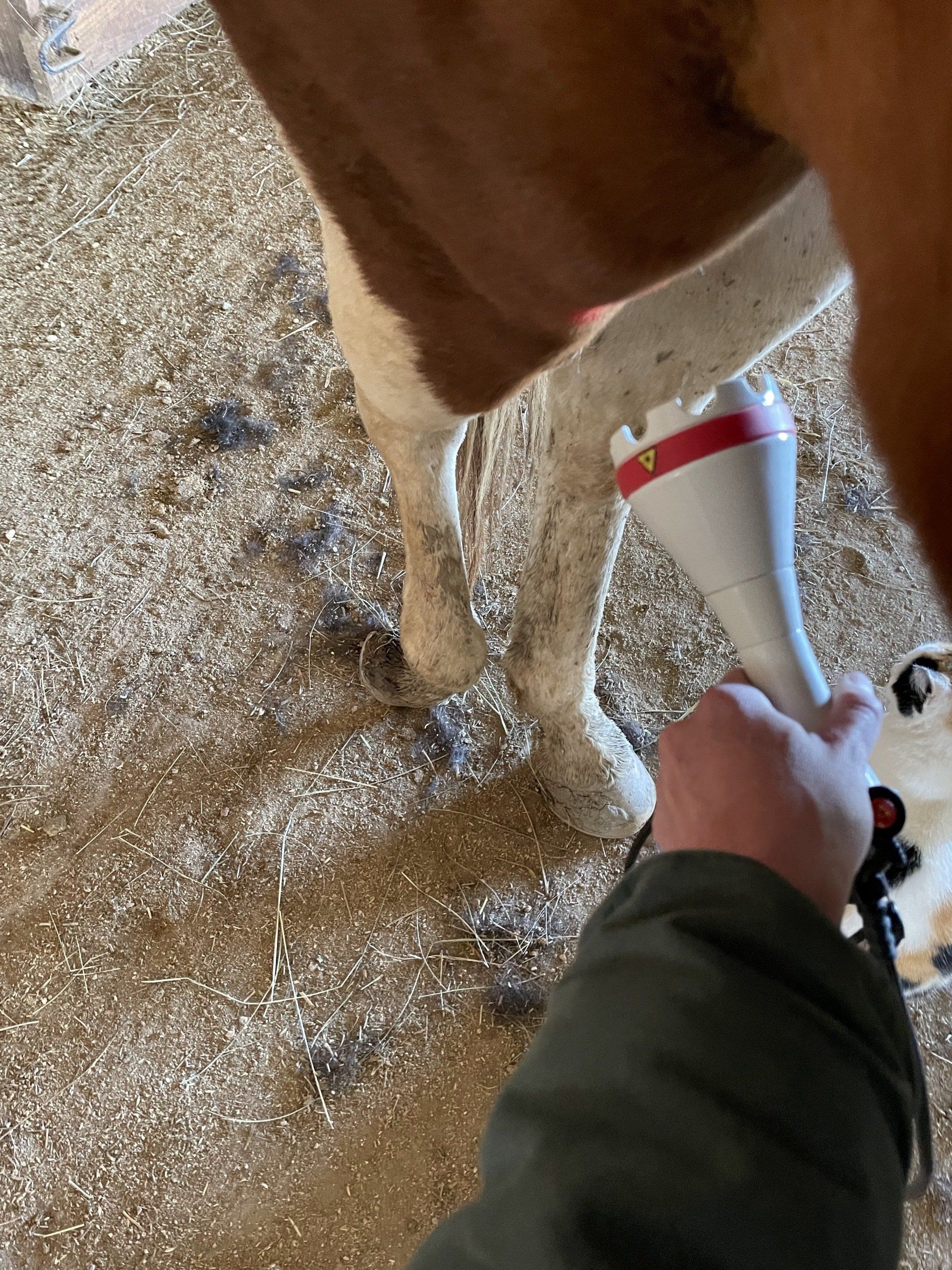 A person is spraying water on a horse 's leg in a barn.