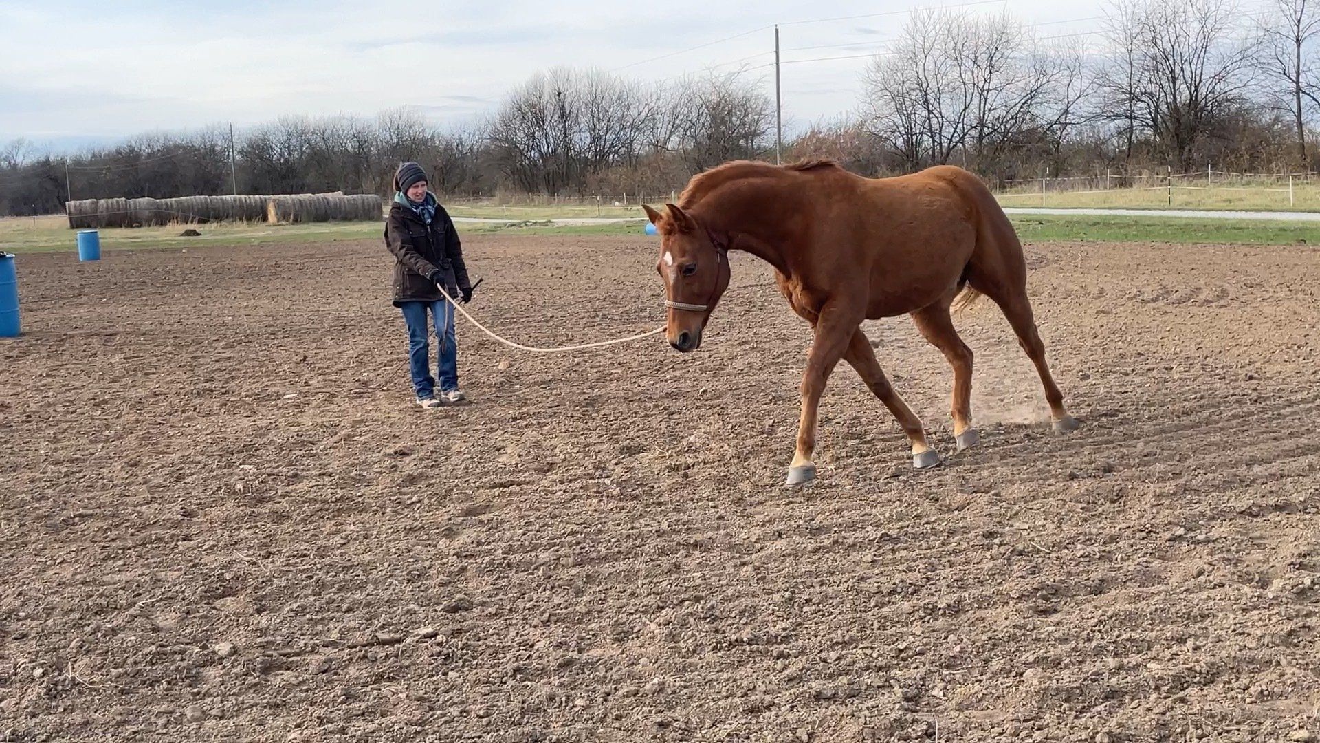 A man is standing next to a brown horse in a dirt field.