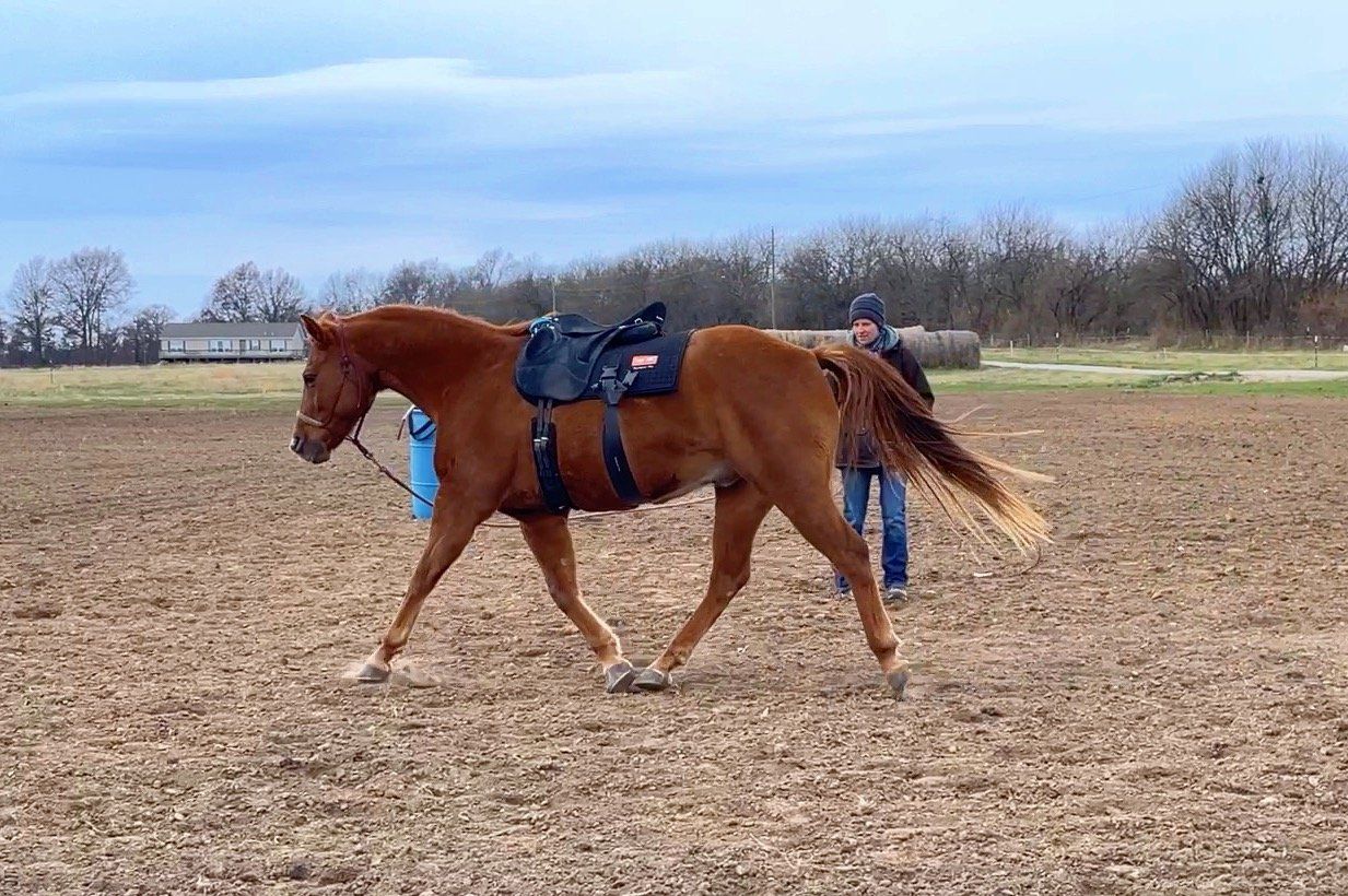 A man is standing next to a brown horse in a field.