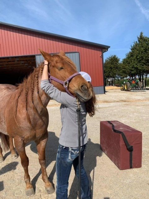A woman hugging a brown horse in front of a red barn