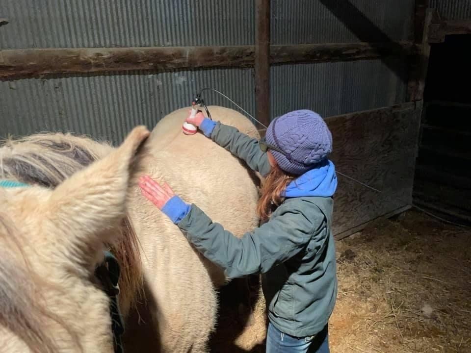 A woman is standing next to a horse in a barn.
