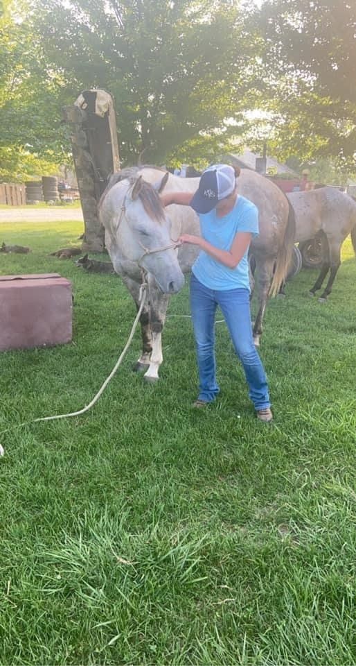 A woman is petting a horse in a field.
