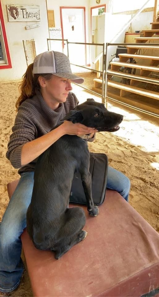 A woman is sitting on a bench petting a black dog.