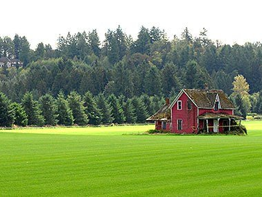 Red house beside a forest, surrounded by a bright green field under a cloudy sky