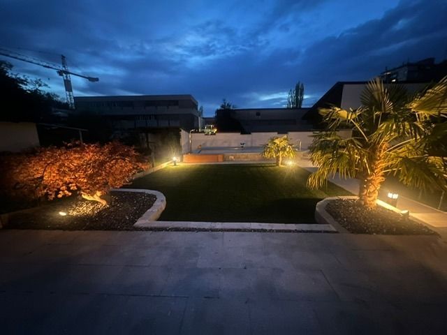 Ein Hinterhof bei Nacht mit beleuchteten Bäumen und Büschen.