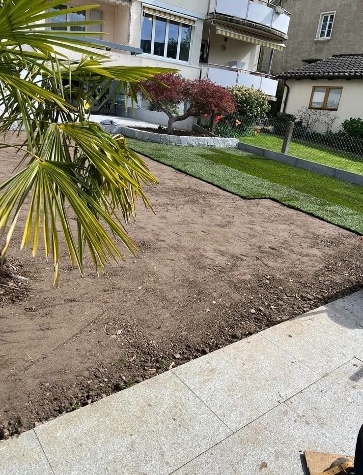 Eine Rasenfläche mit einer Palme in der Mitte und einem Haus im Hintergrund.