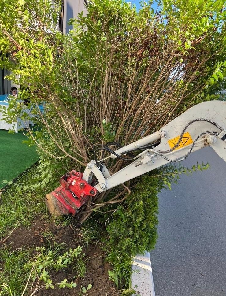 Eine Maschine fällt einen Baum in einem Garten.