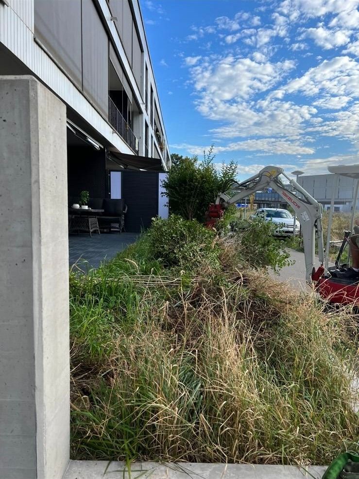 Ein Rasenmäher schneidet Gras vor einem Gebäude.