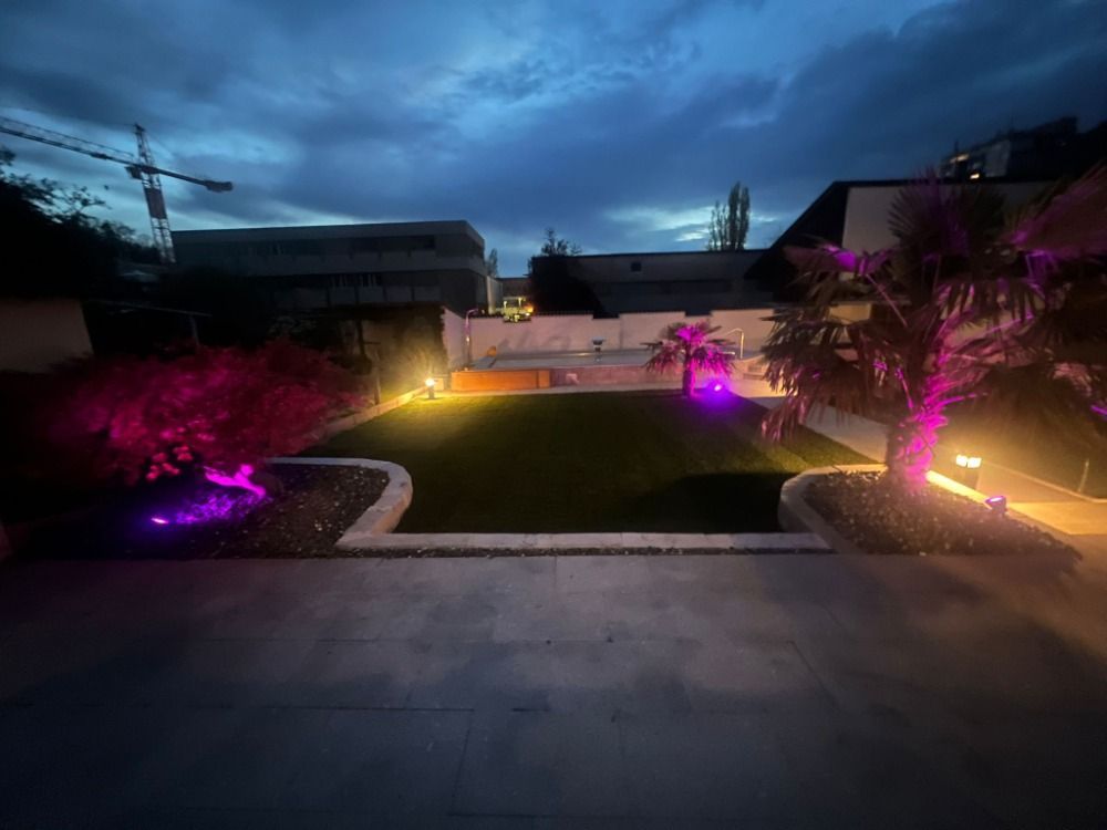 Ein Garten mit violetten Lichtern an den Bäumen bei Nacht.