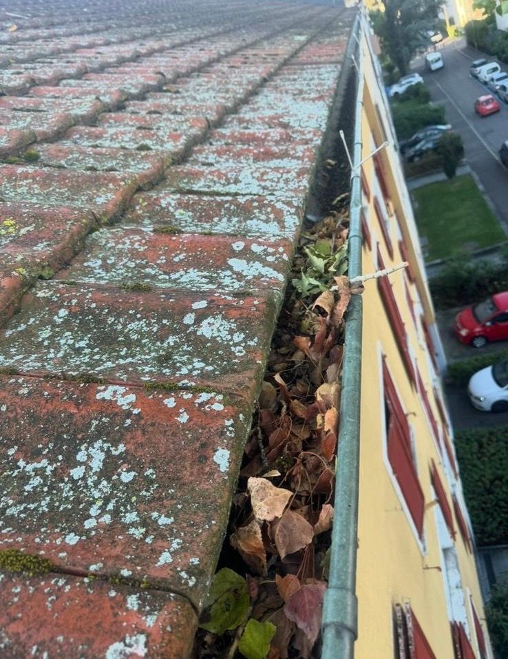 Eine Dachrinne an der Seite eines Gebäudes mit Blättern darauf.