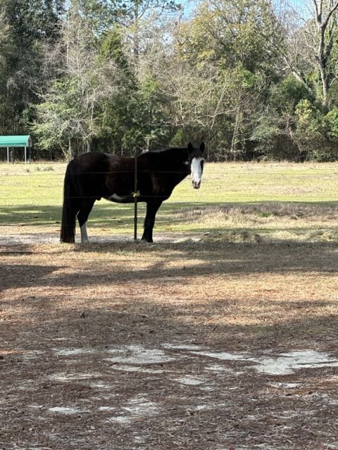 Exploring the Hidden Gems of Nature