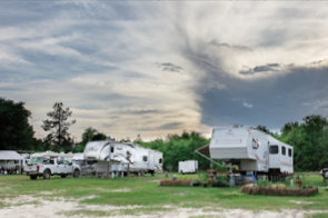 Serene Woodland Retreat