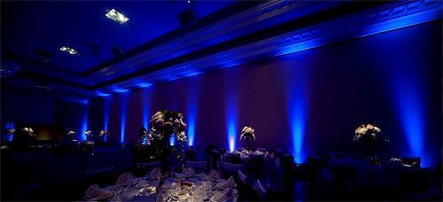 Par can lights (also known as up lights) set to blueHire price from $40 including gst