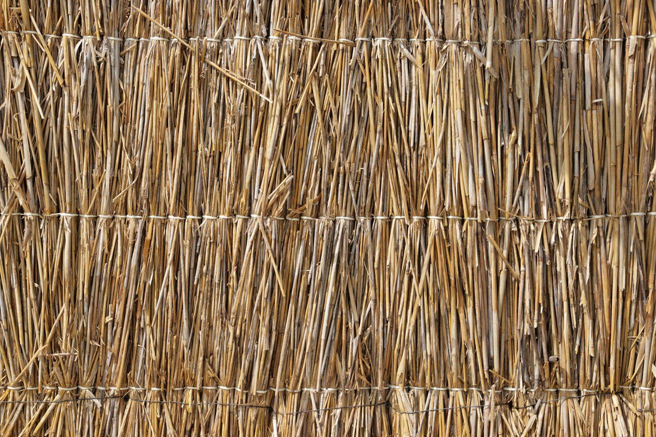 Backdrop Luau Thatch x2 Available 3m x 2.3m $60 Incl frame & gst