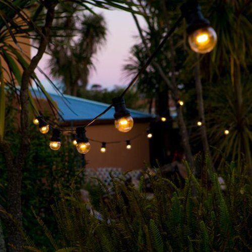 Festoon Lights, Warm white with clear, led, cool touch bulbs