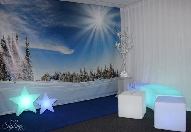 Winter Wonderland Backdrop