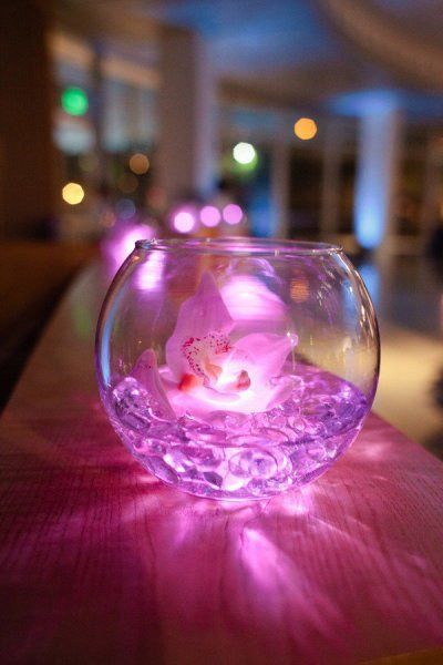 Illuminated Fish bowl Centrepiece $15 incl gst