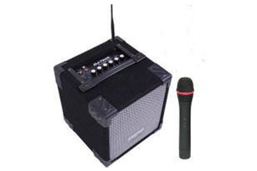 Portable PA System with mic