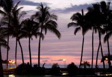 Backdrop Luau Nights 3m x 2.3m $60 Incl frame & gst