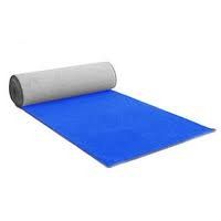 Blue Carpet 1.2m x 6m $85