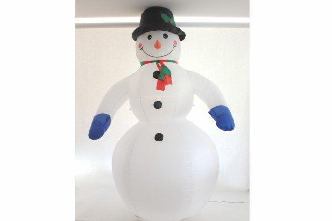 Winter Wonderland, Frozen Theme