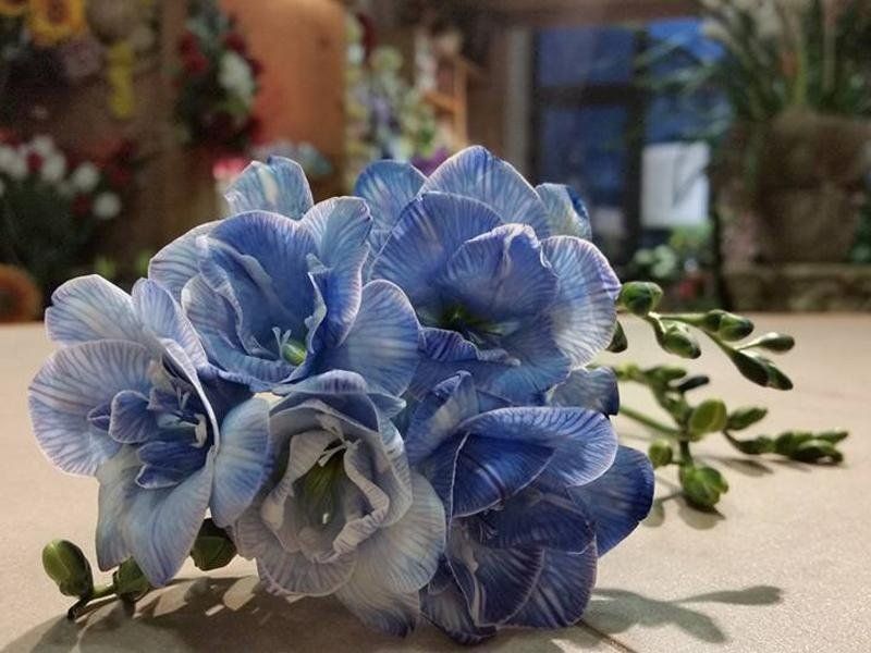 Centrotavola con fiori celesti