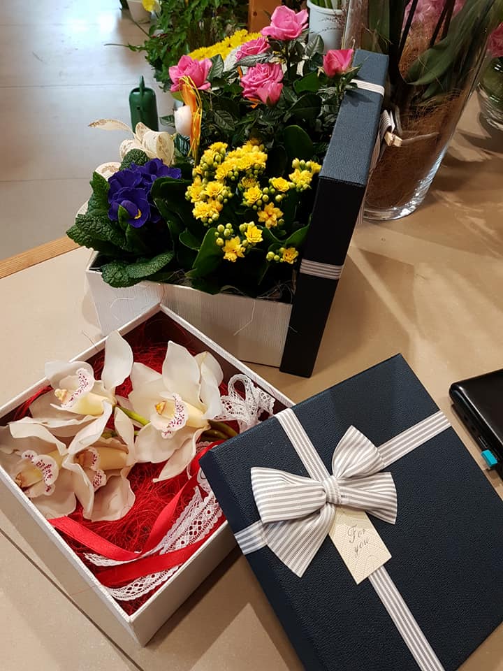 Piante e composizioni da regalo