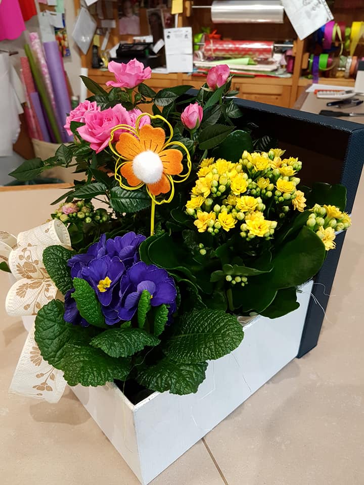 Composizione di piantine fiorite