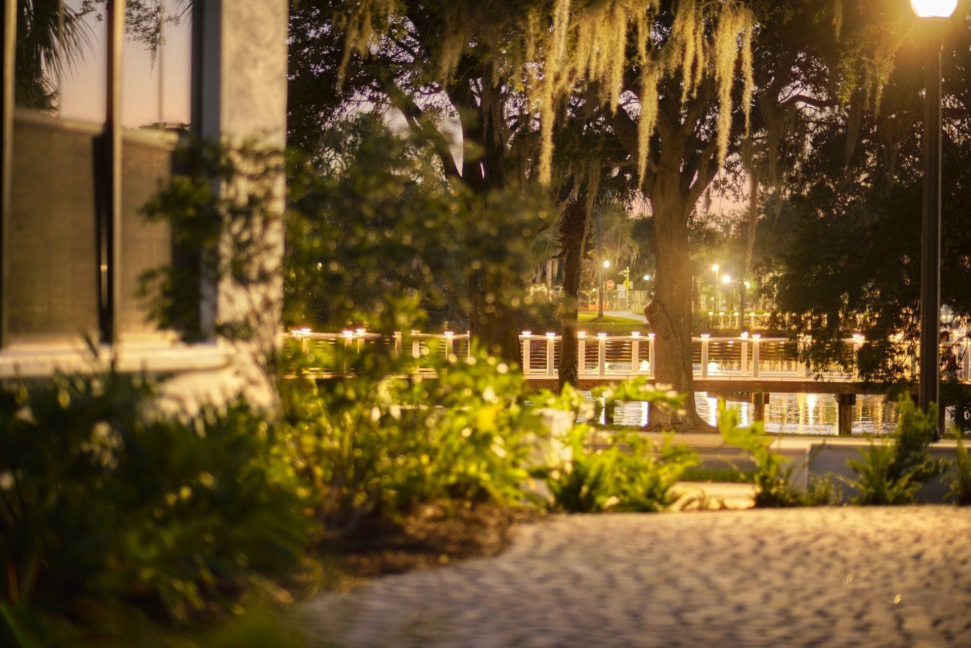 Landscape photo showing plenty of plants and a peaceful walkway