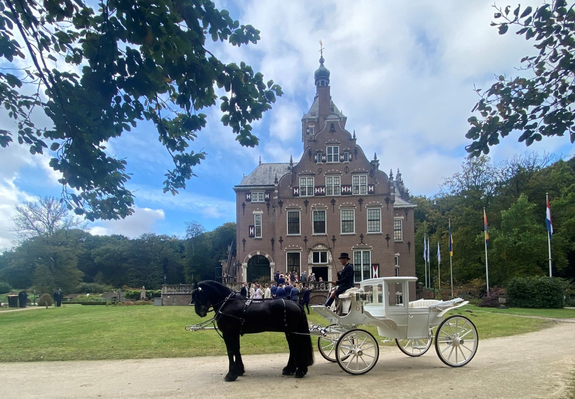 Horse and Carriage for wedding