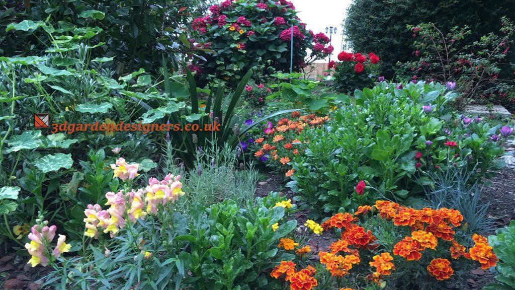 garden plants