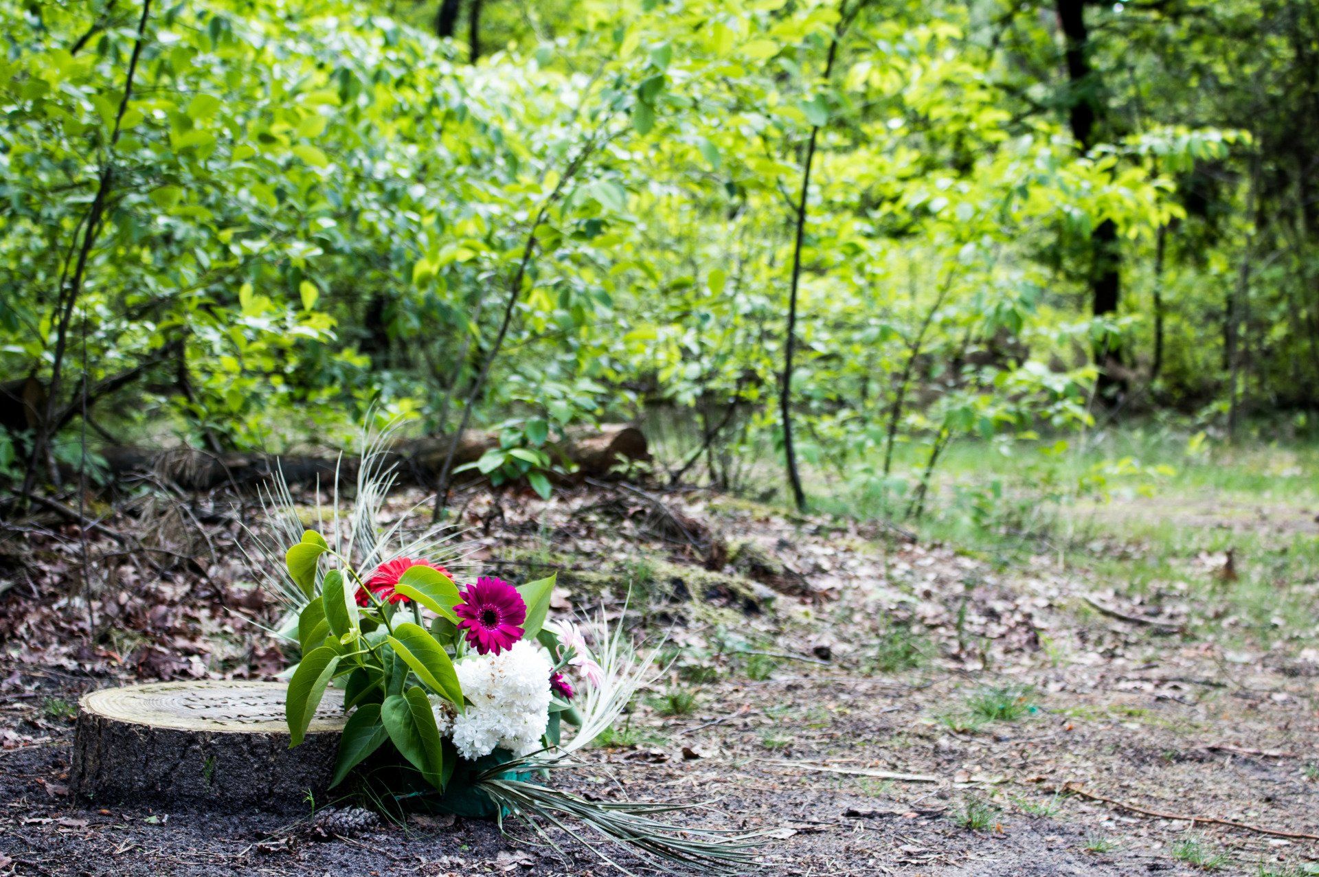 Begraven in de natuur