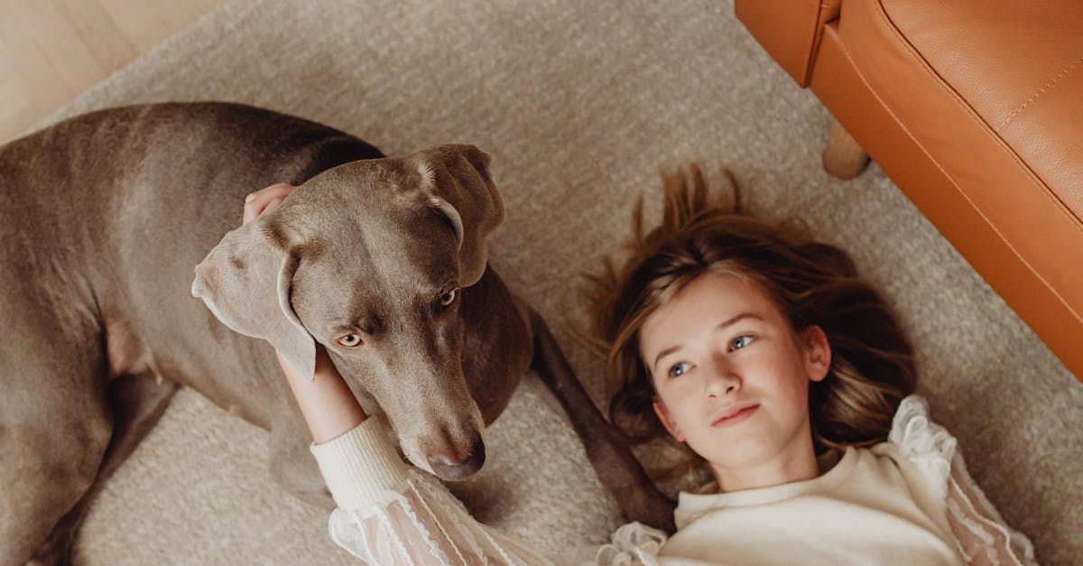 A little girl is laying on the floor with a dog.