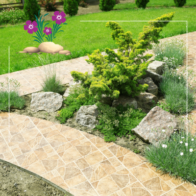 a walkway in a garden with purple flowers and rocks
