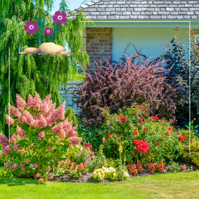 a garden with lots of flowers and plants in front of a house .
