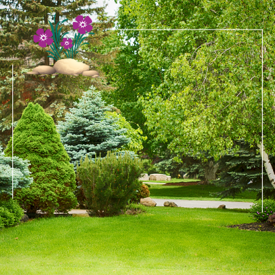 a picture of a garden with purple flowers and trees