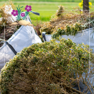 a pile of branches and leaves is sitting on top of a pile of trash .