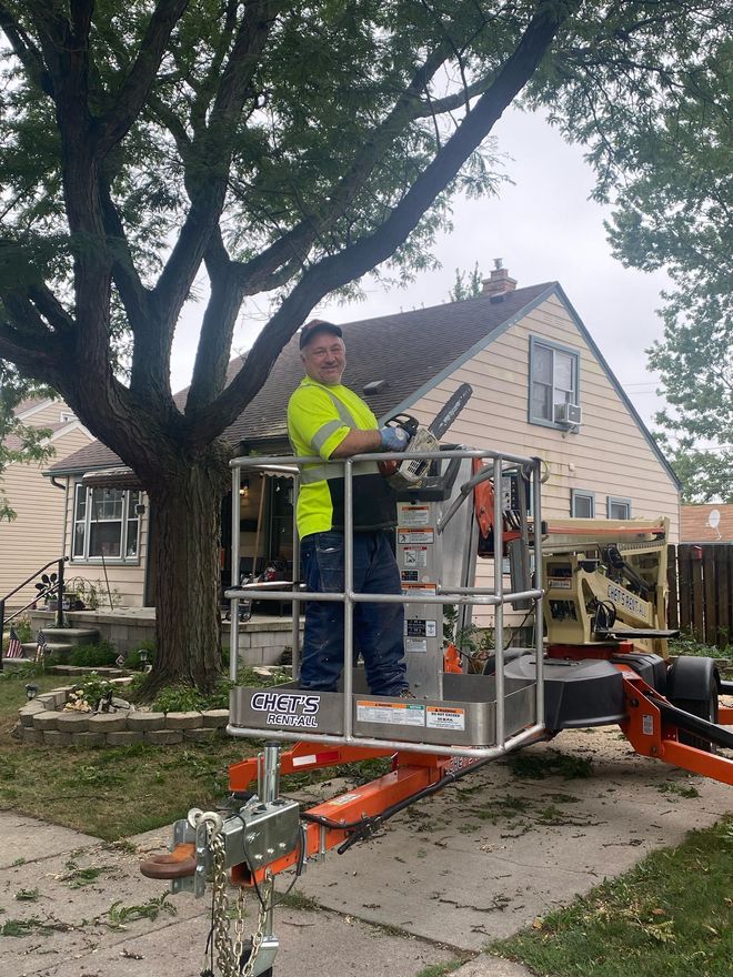 A man is cutting a tree with a chainsaw in the woods.