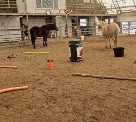 How fast can we get through the maze