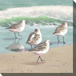 A group of birds are standing on a beach near the ocean.